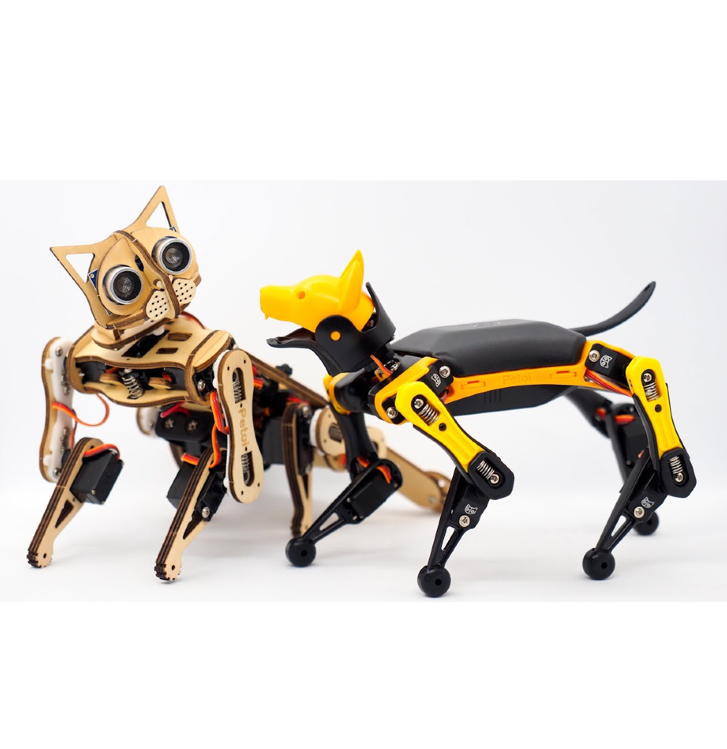 Robot Nybble and Bittle